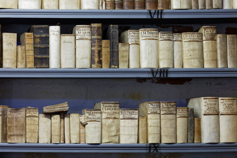 Adeliges Kloster Preetz · Predigerbibliothek