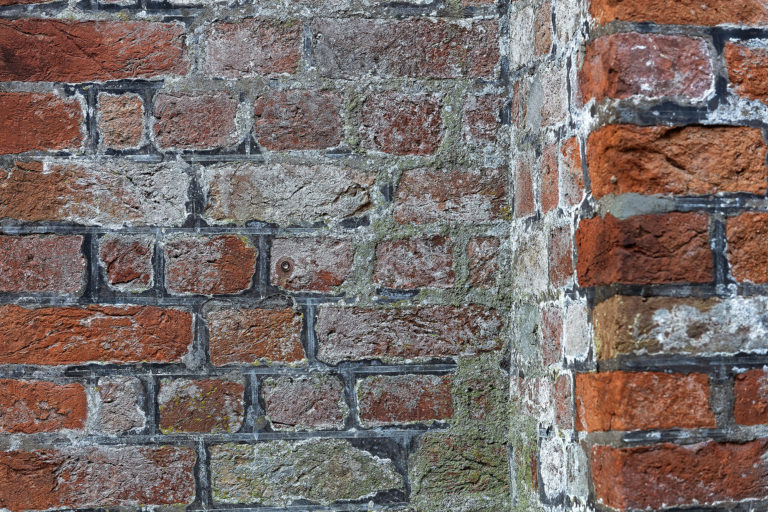 Adeliges Kloster Preetz · Predigerbibliothek