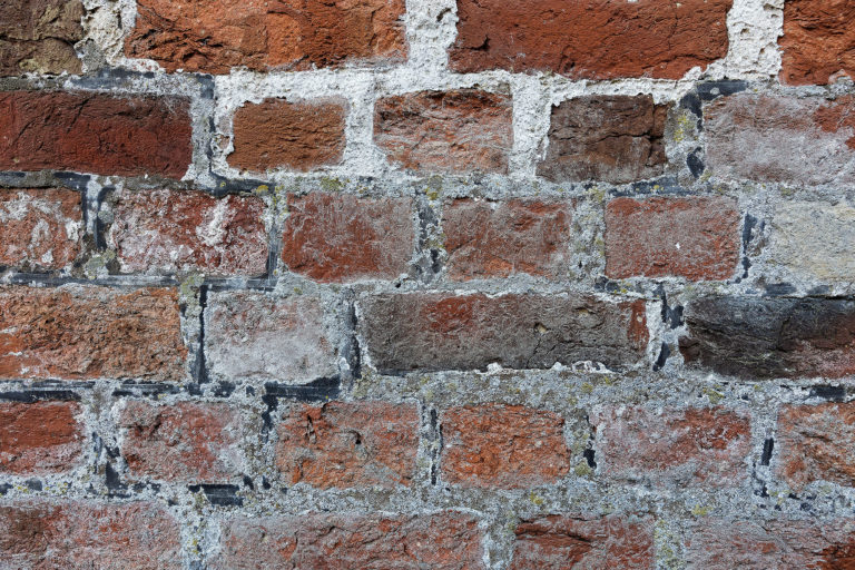 Adeliges Kloster Preetz · Predigerbibliothek