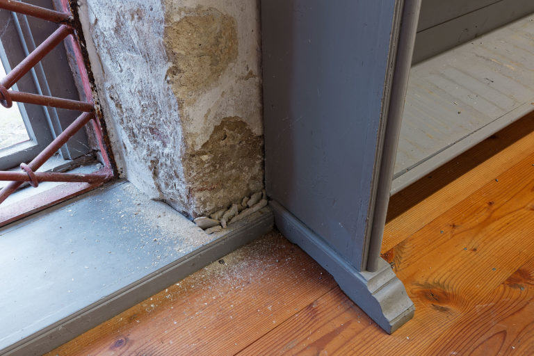 Adeliges Kloster Preetz · Predigerbibliothek