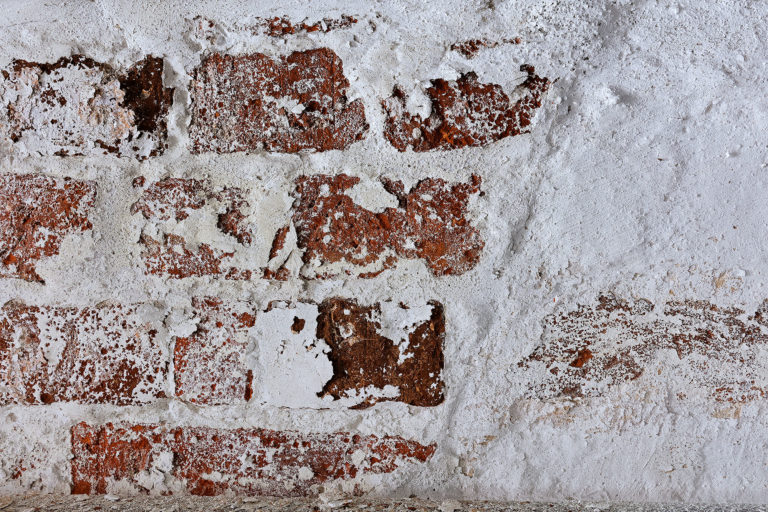 Adeliges Kloster Preetz · Predigerbibliothek