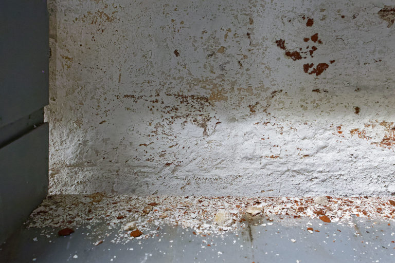 Adeliges Kloster Preetz · Predigerbibliothek