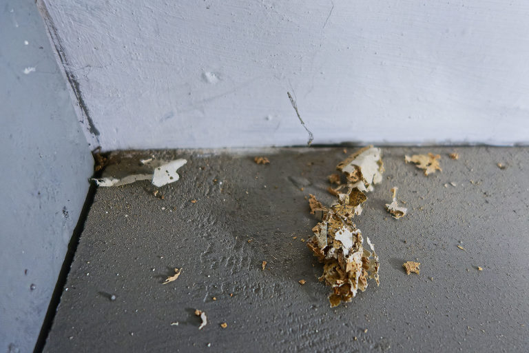 Adeliges Kloster Preetz · Predigerbibliothek