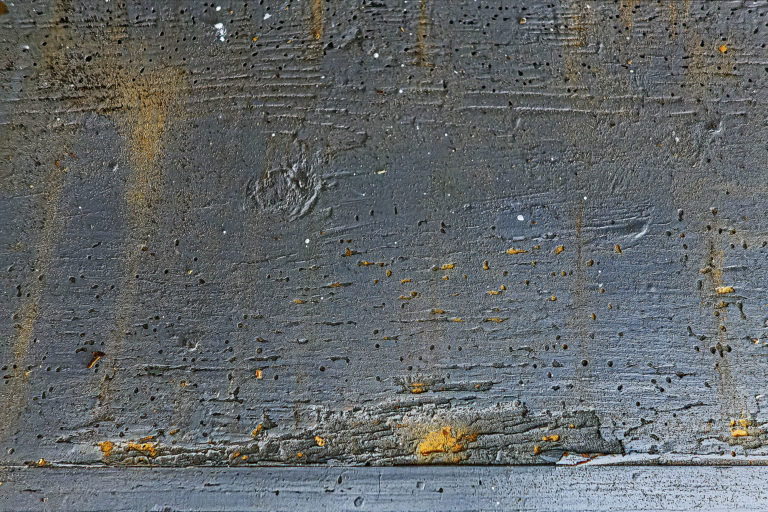 Adeliges Kloster Preetz · Predigerbibliothek