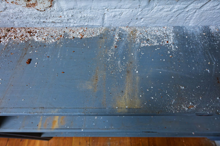 Adeliges Kloster Preetz · Predigerbibliothek