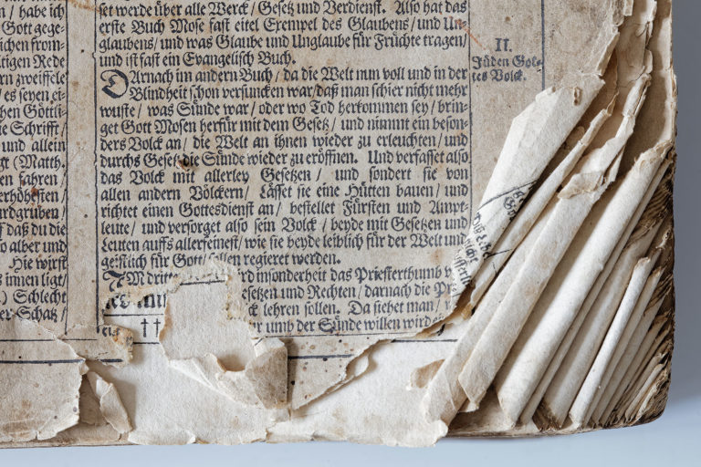 Adeliges Kloster Preetz · Predigerbibliothek