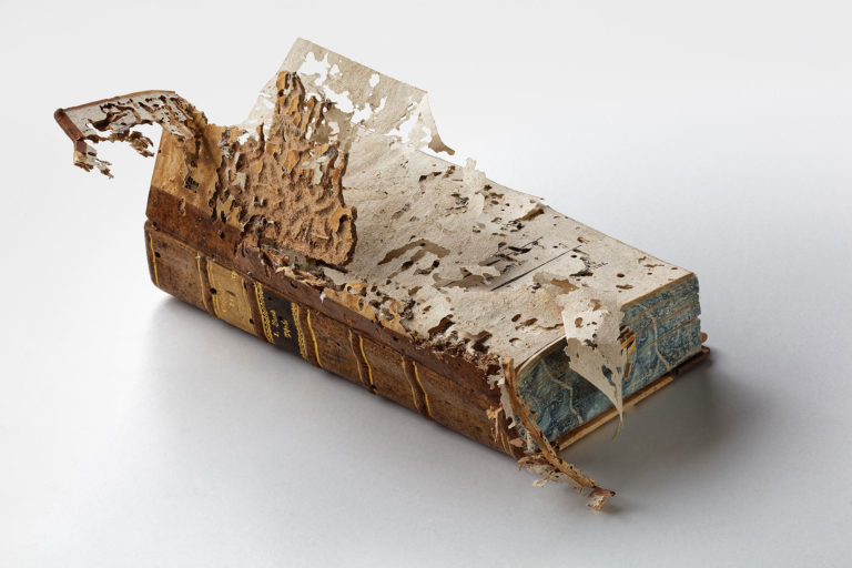 Adeliges Kloster Preetz · Predigerbibliothek