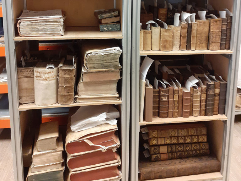 Adeliges Kloster Preetz · Predigerbibliothek