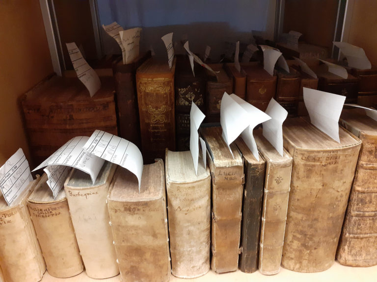 Adeliges Kloster Preetz · Predigerbibliothek