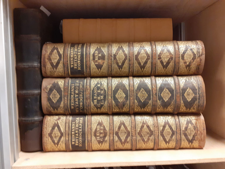 Adeliges Kloster Preetz · Predigerbibliothek