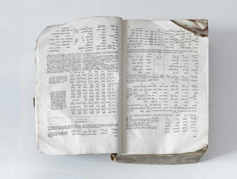 Adeliges Kloster Preetz · Predigerbibliothek