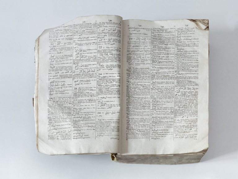 Adeliges Kloster Preetz · Predigerbibliothek