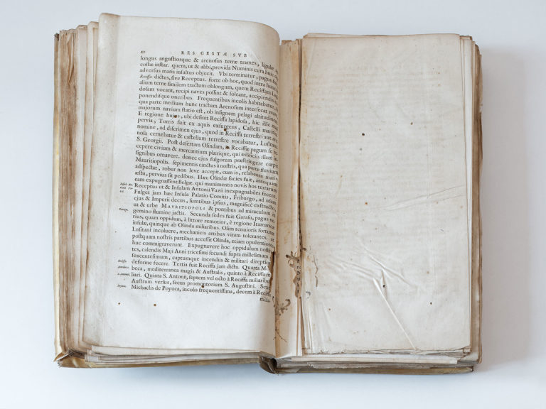 Adeliges Kloster Preetz · Predigerbibliothek