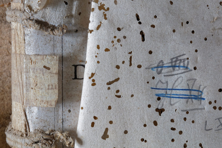 Adeliges Kloster Preetz · Predigerbibliothek