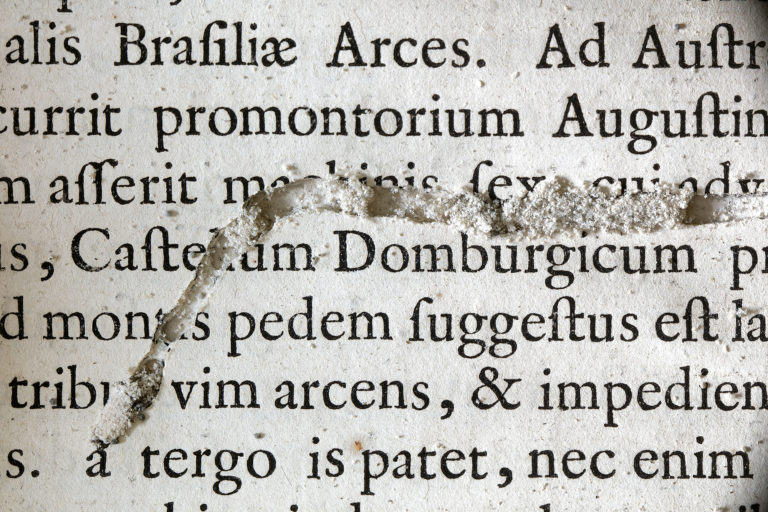 Adeliges Kloster Preetz · Predigerbibliothek