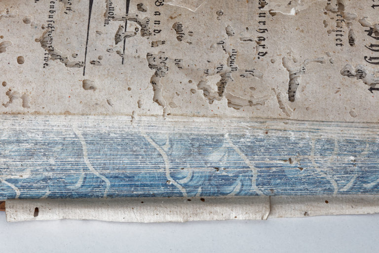 Adeliges Kloster Preetz · Predigerbibliothek