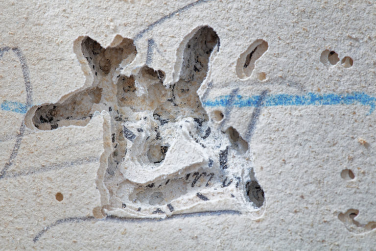 Adeliges Kloster Preetz · Predigerbibliothek