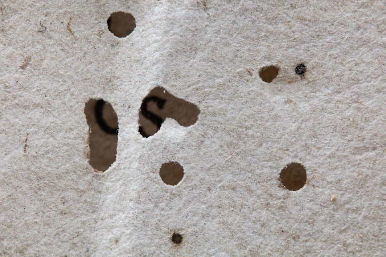 Adeliges Kloster Preetz · Predigerbibliothek