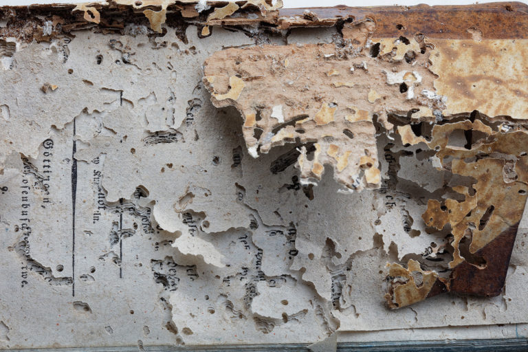 Adeliges Kloster Preetz · Predigerbibliothek