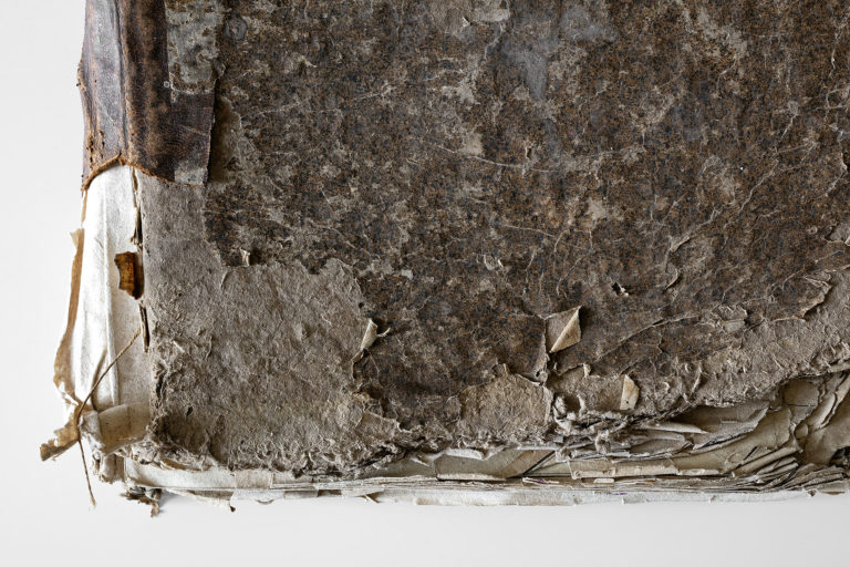 Adeliges Kloster Preetz · Predigerbibliothek