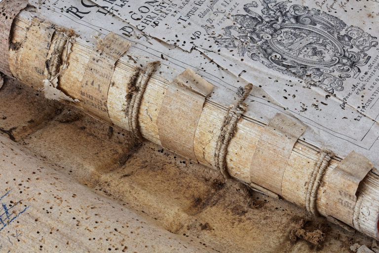 Adeliges Kloster Preetz · Predigerbibliothek